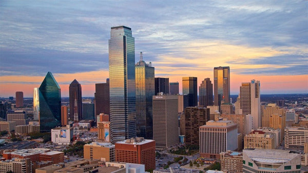 Why Ryde: Chose Dallas as Our U.S. Home Base